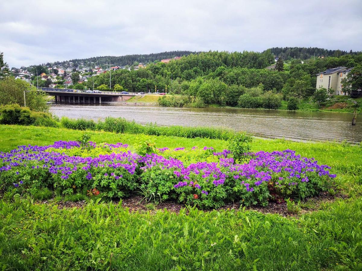 Lillestrom Central City Apartment Fully Furnished Exterior photo